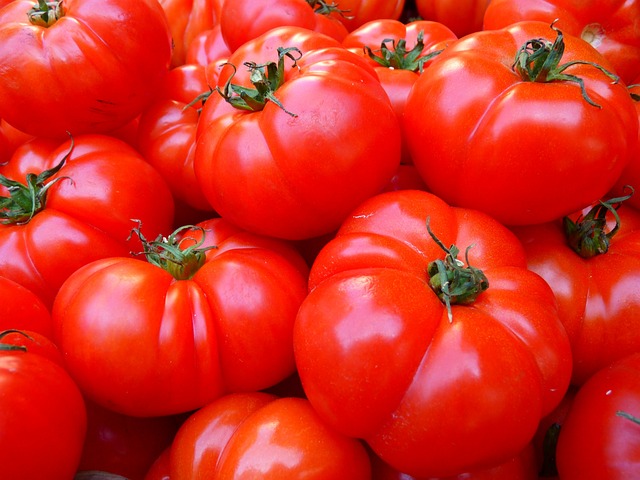 tomatoes algeciras